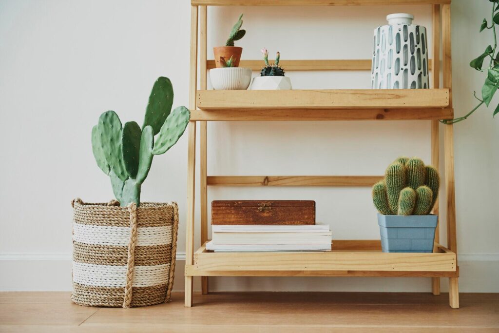 wooden shelf displays potted cacti, a decorative vase
