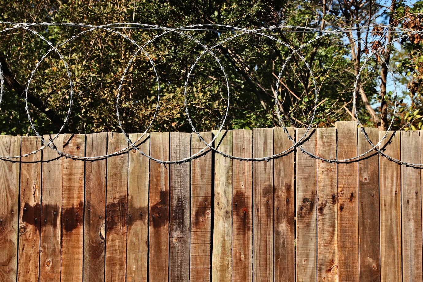 Close-up of a wooden fence topped with barbed wire