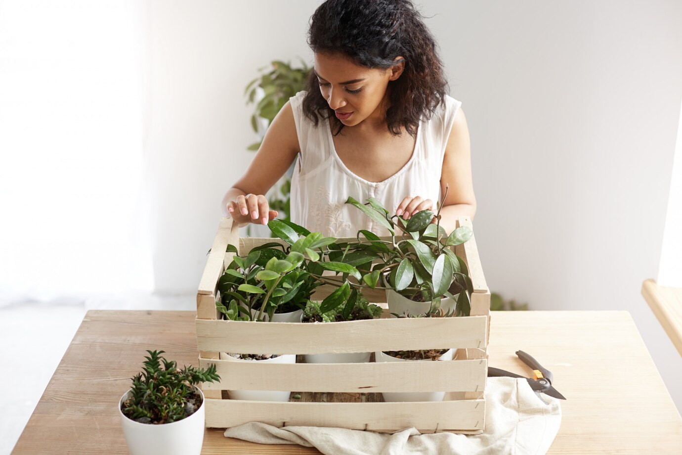 person arranging various green plants in a wooden crate on a table