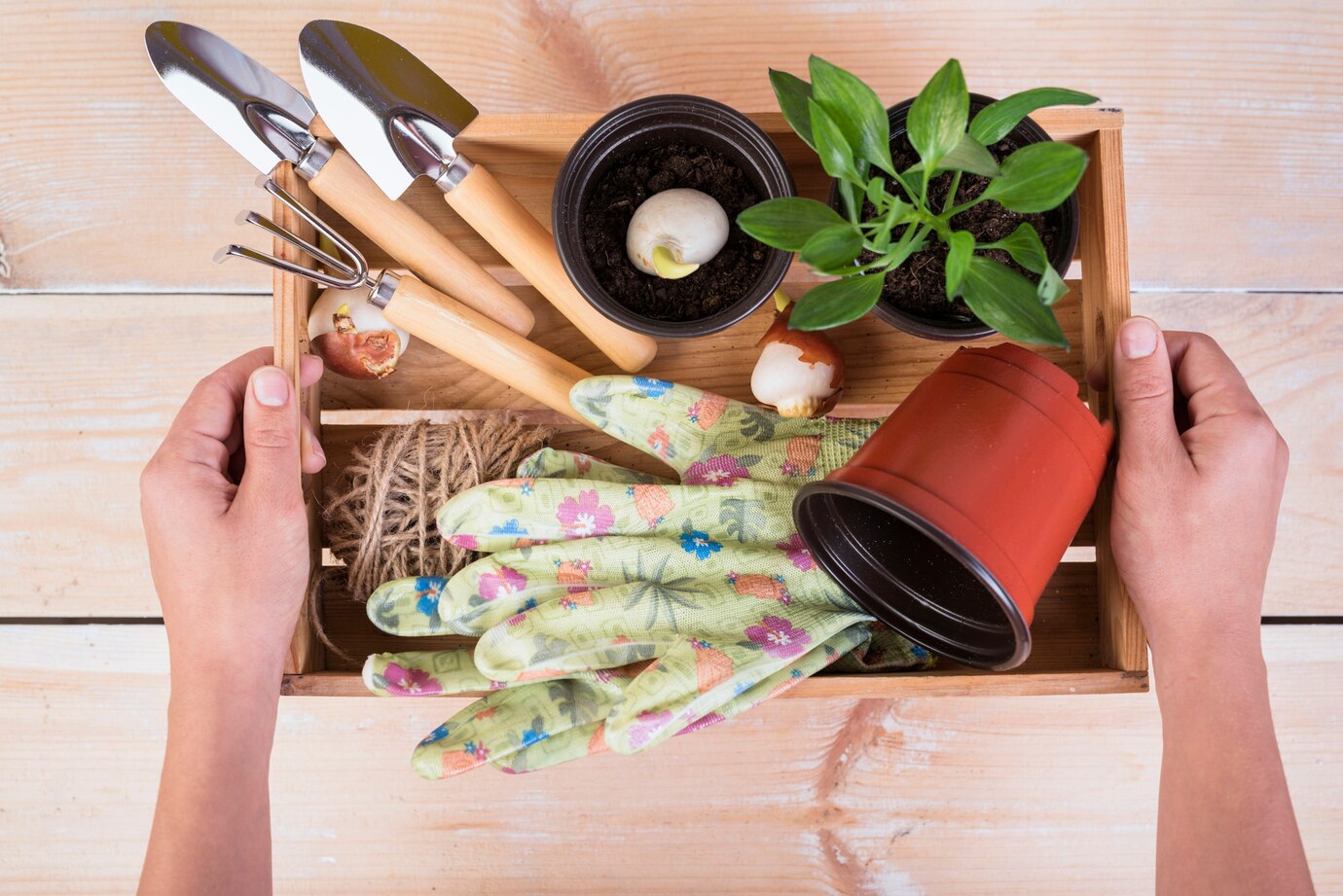 person holds a wooden box filled with gardening tools