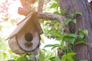 How to Make a Wooden Birdhouse: Step-by-Step